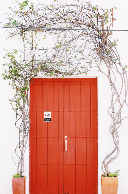 Red Door